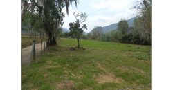 Lote 5000m2 Vereda Pajonales Pacho Cundinamarca