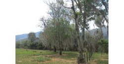 Lote 5000m2 Vereda Pajonales Pacho Cundinamarca