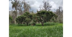 Lote 5000m2 Vereda Pajonales Pacho Cundinamarca