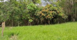 Lote 4643m2 Vereda Pajonales Pacho Cundinamarca