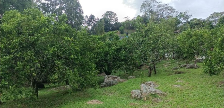 Casa Lote doble 2 Fanegadas Mesitas del Colegio
