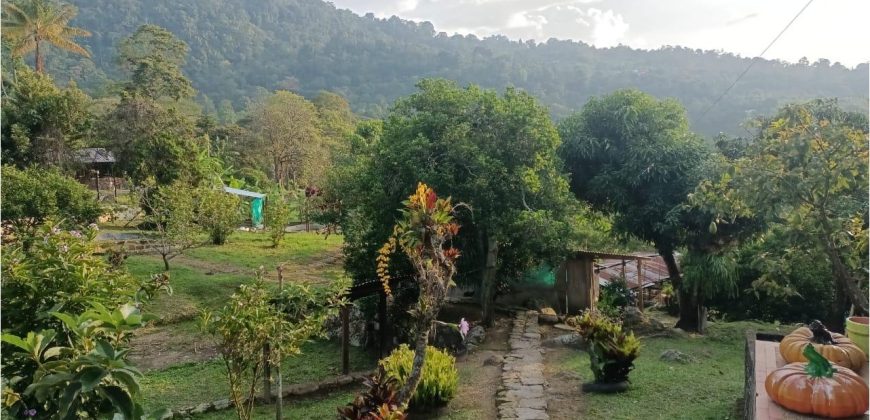 Casa Lote doble 2 Fanegadas Mesitas del Colegio