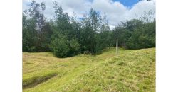 Lote de 10.5 Hectareas en Suesca Cundinamarca