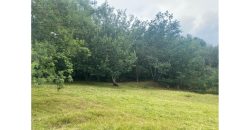 Lote de 10.5 Hectareas en Suesca Cundinamarca