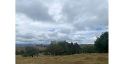 Lote de 10.5 Hectareas en Suesca Cundinamarca