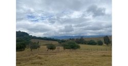Lote de 10.5 Hectareas en Suesca Cundinamarca