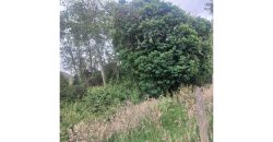 Lote 20 Fanegadas en Tabio Cundinamarca