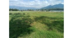 Lote 15600m2 en la via Zipaquirá Ubaté sector Casa Blanca