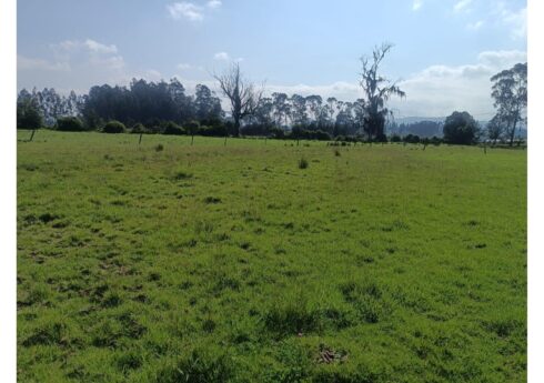 Lote 15600m2 en la via Zipaquirá Ubaté sector Casa Blanca Lote 15600m2 en la via Zipaquirá Ubaté sector Casa Blanca