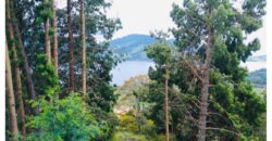 Casa quinta de 26600m2 en el Embalse del Neusa Cogua Cundinamarca con 2 Cabañas y Glamping
