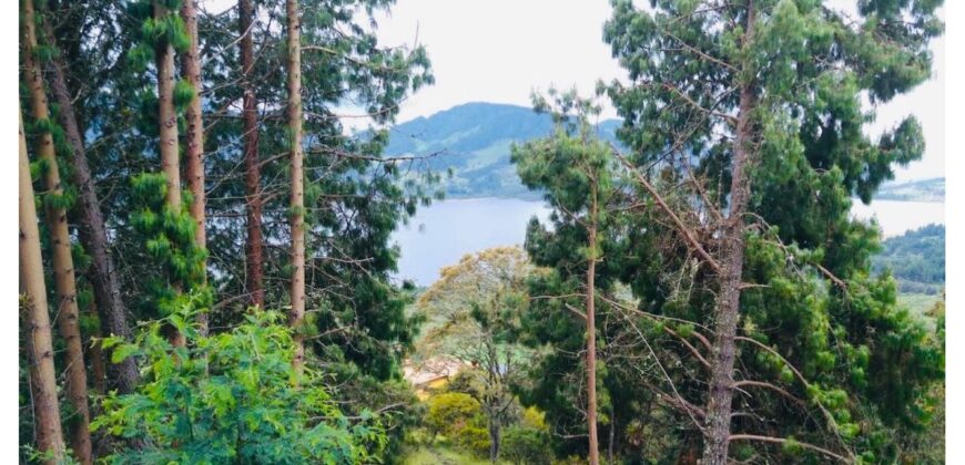 Casa quinta de 26600m2 en el Embalse del Neusa Cogua Cundinamarca con 2 Cabañas y Glamping